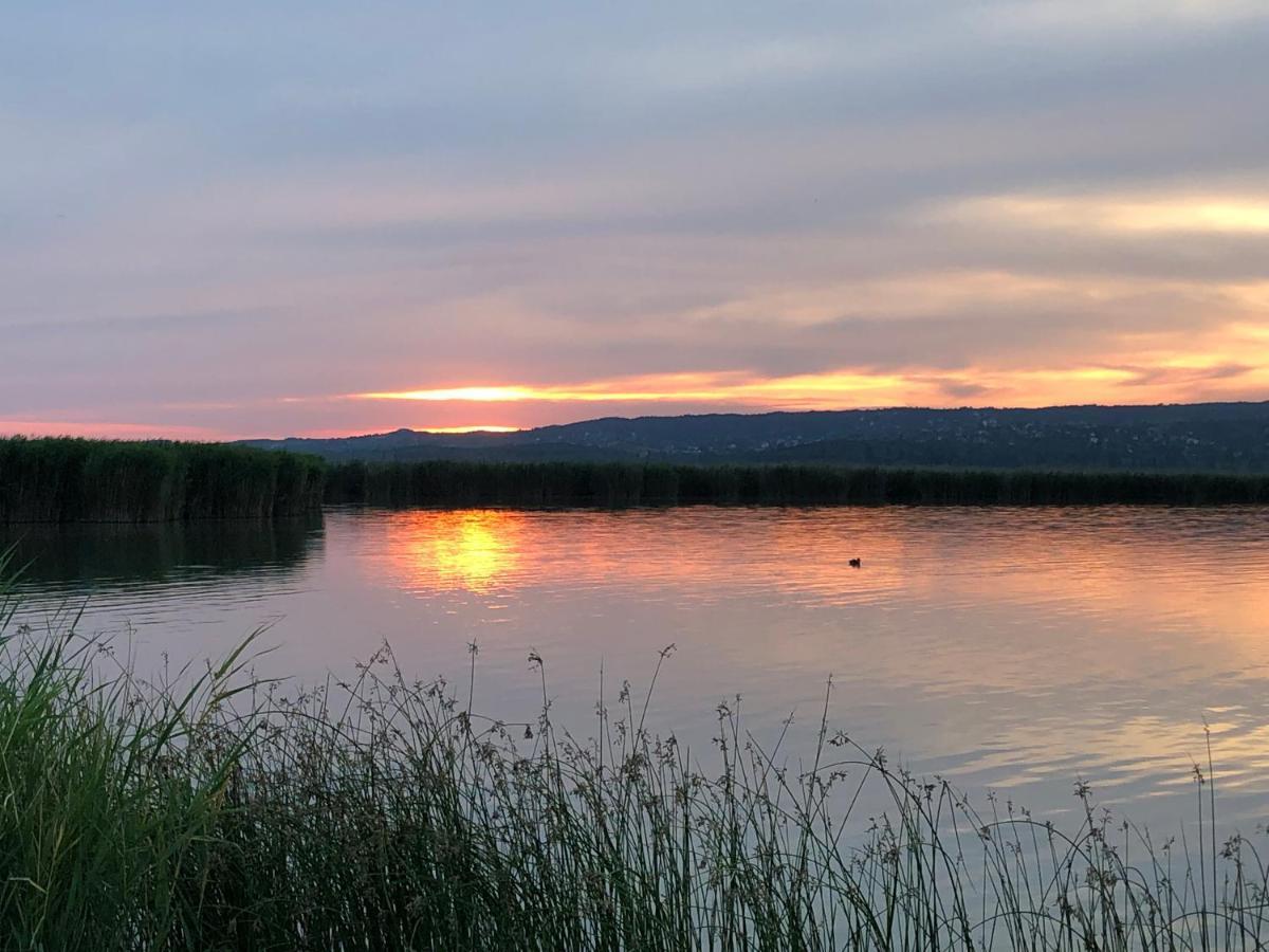 Lilihome Gárdony Kültér fotó